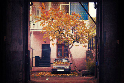 დამტვრეული ქანდაკებები და ფოტოზე გადატანილი ტკივილიანი სახეები Rating